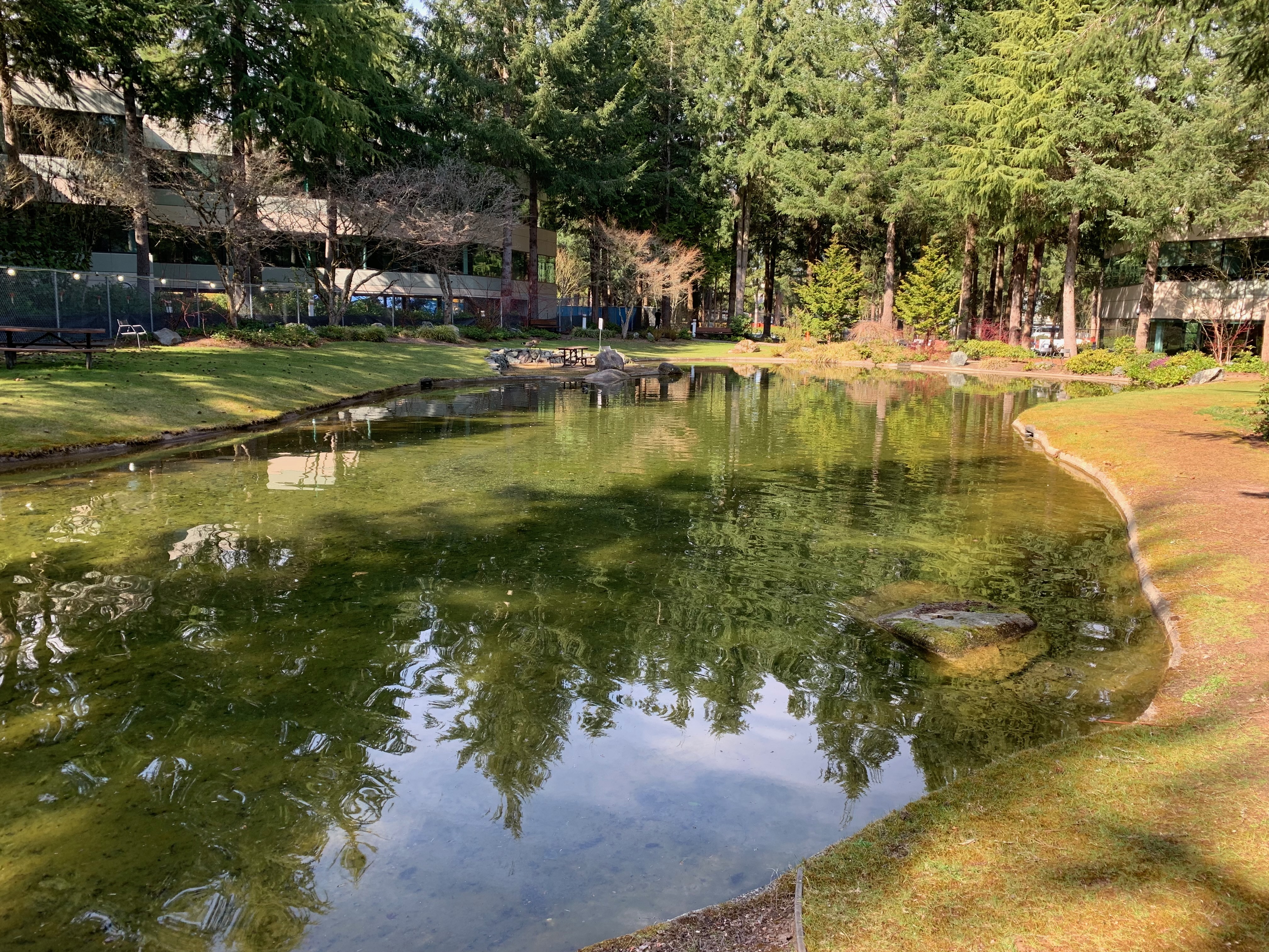 Private tour of 'Lake Bill' on the Microsoft campus